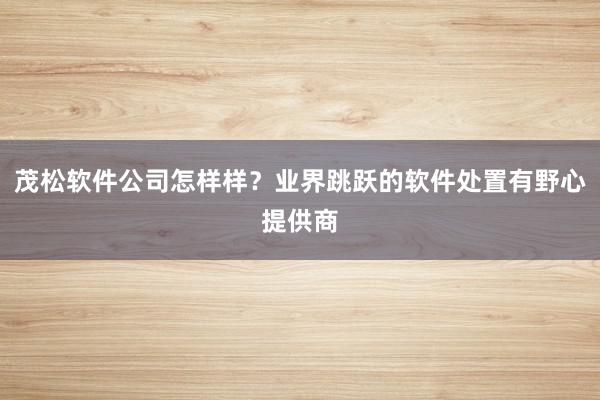   茂松软件公司怎样样？业界跳跃的软件处置有野心提供商